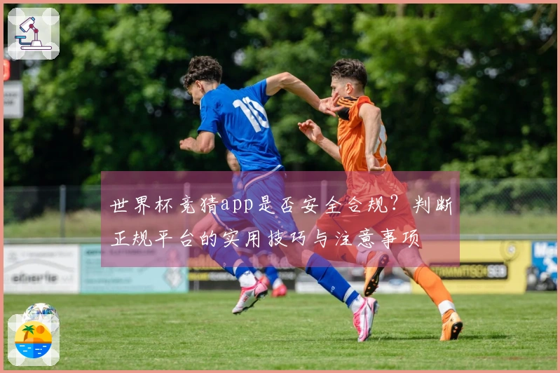 世界杯竞猜app是否安全合规？判断正规平台的实用技巧与注意事项