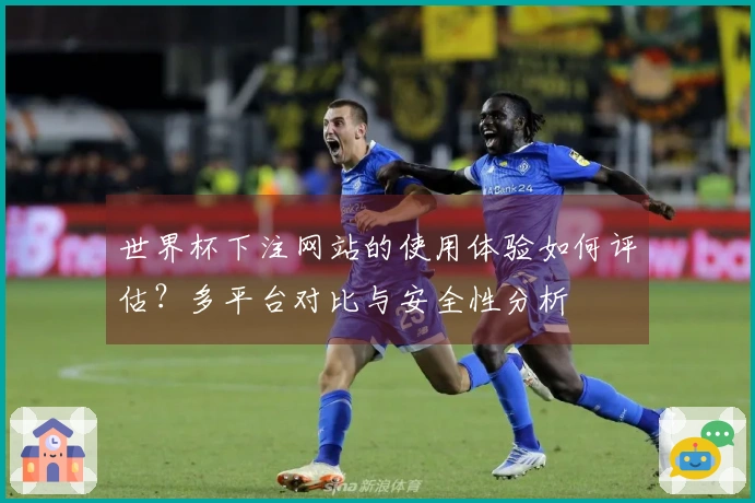 世界杯下注网站的使用体验如何评估？多平台对比与安全性分析