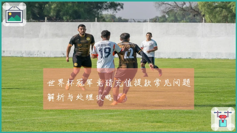 世界杯冠军竞猜充值提款常见问题解析与处理攻略
