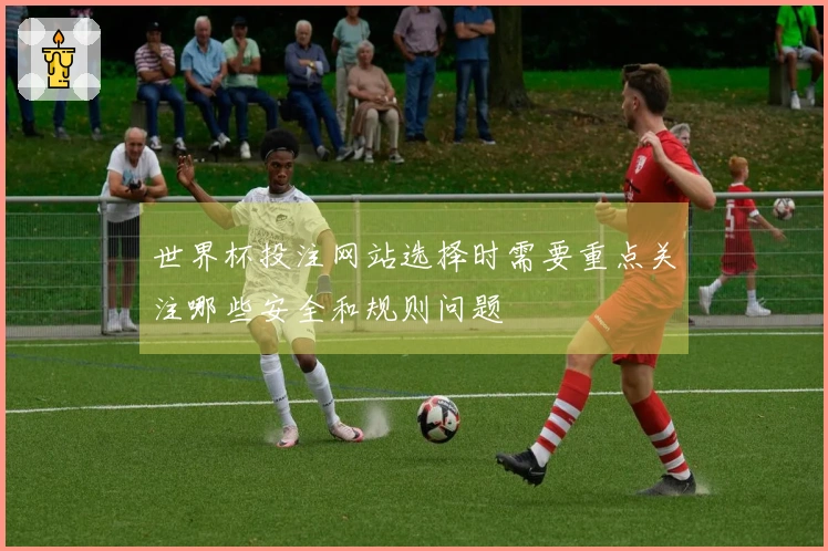 世界杯投注网站选择时需要重点关注哪些安全和规则问题