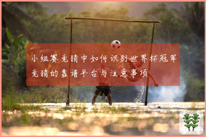 小组赛竞猜中如何识别世界杯冠军竞猜的靠谱平台与注意事项