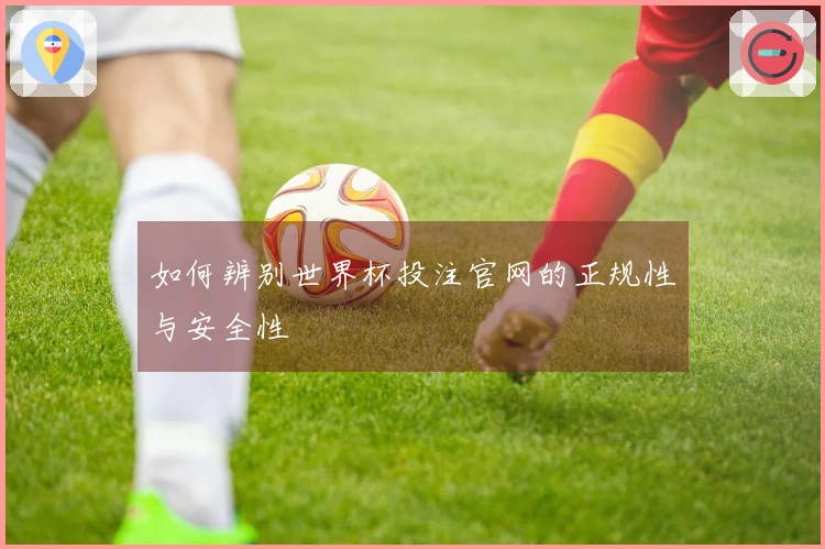 如何辨别世界杯投注官网的正规性与安全性