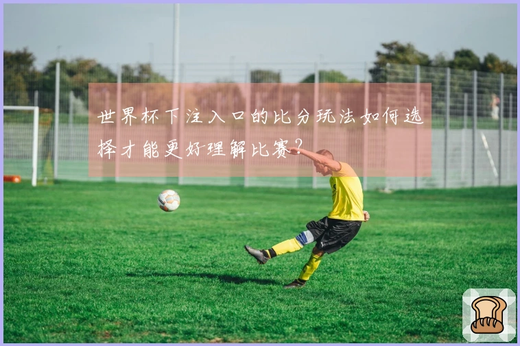 世界杯下注入口的比分玩法如何选择才能更好理解比赛？