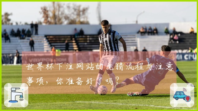 世界杯下注网站的竞猜流程与注意事项，你准备好了吗？