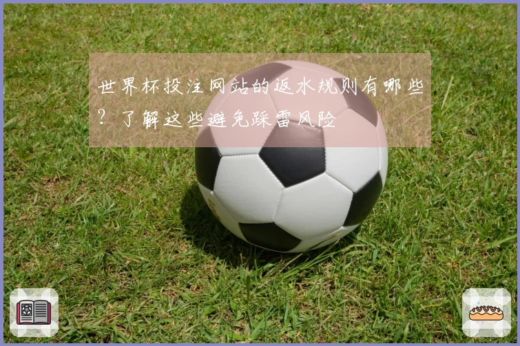 世界杯投注网站的返水规则有哪些?了解这些避免踩雷风险