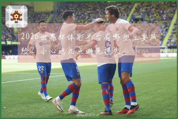 2026世界杯体彩平台有哪些主要风险？小心这几点避免损失