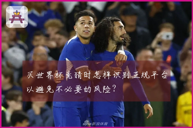 买世界杯竞猜时怎样识别正规平台以避免不必要的风险？
