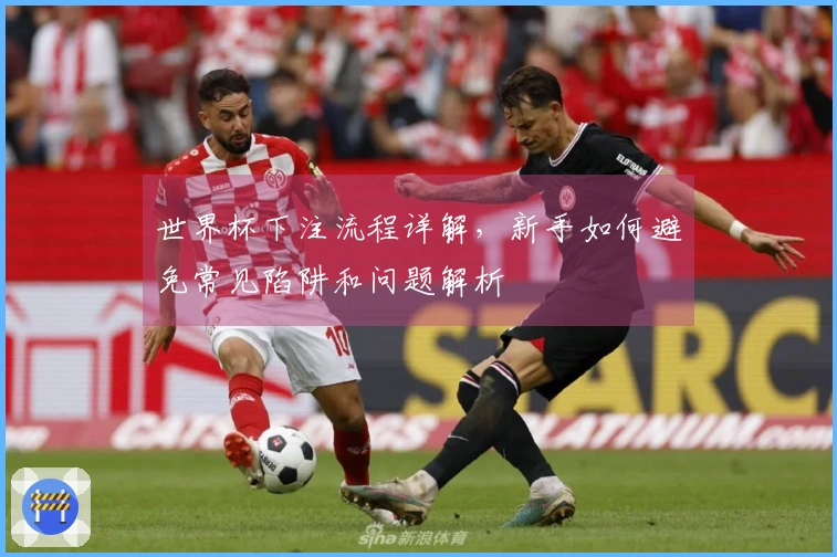 世界杯下注流程详解，新手如何避免常见陷阱和问题解析