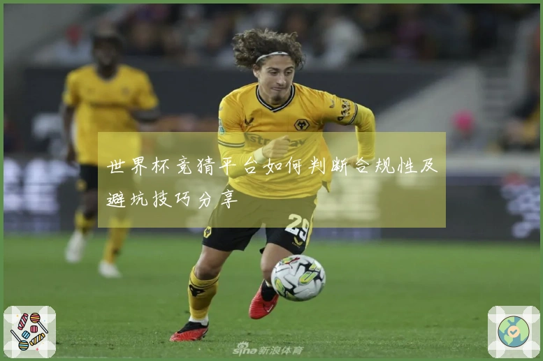 世界杯竞猜平台如何判断合规性及避坑技巧分享