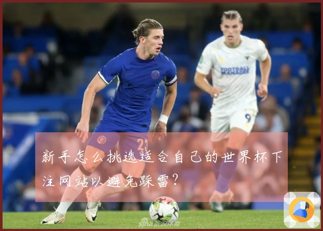 新手怎么挑选适合自己的世界杯下注网站以避免踩雷？