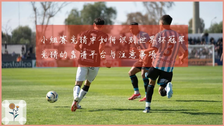 小组赛竞猜中如何识别世界杯冠军竞猜的靠谱平台与注意事项