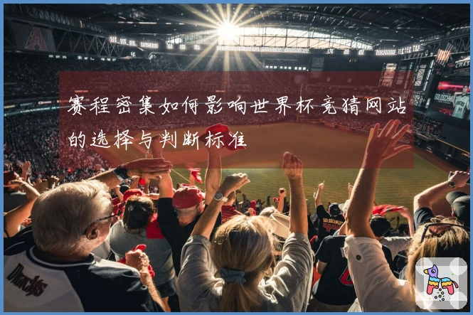 赛程密集如何影响世界杯竞猜网站的选择与判断标准