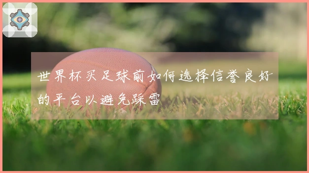 世界杯买足球前如何选择信誉良好的平台以避免踩雷