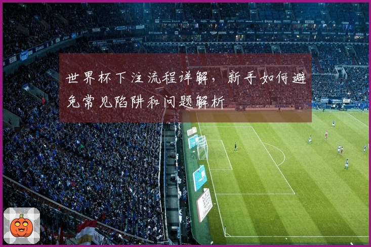 世界杯下注流程详解，新手如何避免常见陷阱和问题解析