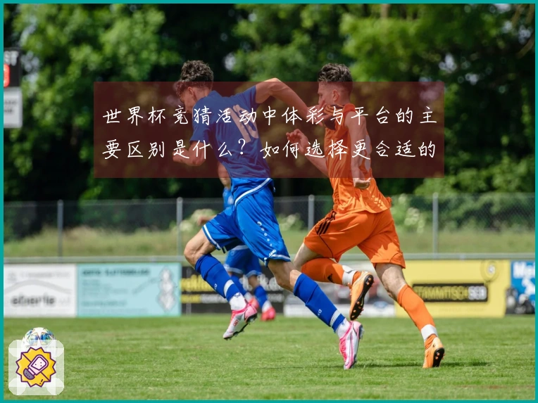世界杯竞猜活动中体彩与平台的主要区别是什么？如何选择更合适的参与方式？