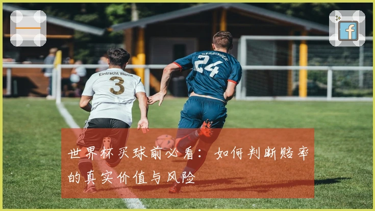 世界杯买球前必看：如何判断赔率的真实价值与风险