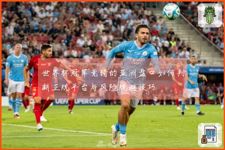 世界杯冠军竞猜的亚洲盘口如何判断正规平台与风险规避技巧