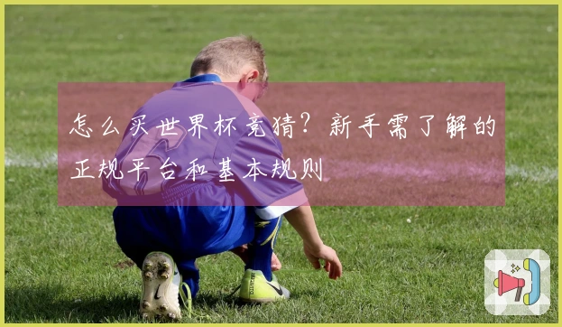 怎么买世界杯竞猜？新手需了解的正规平台和基本规则
