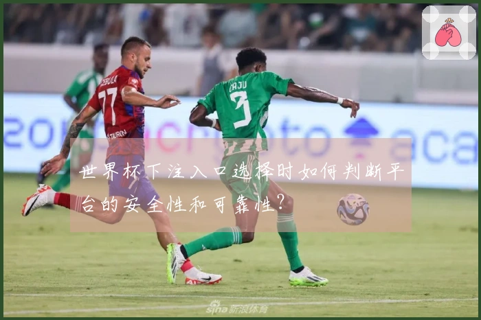 世界杯下注入口选择时如何判断平台的安全性和可靠性？