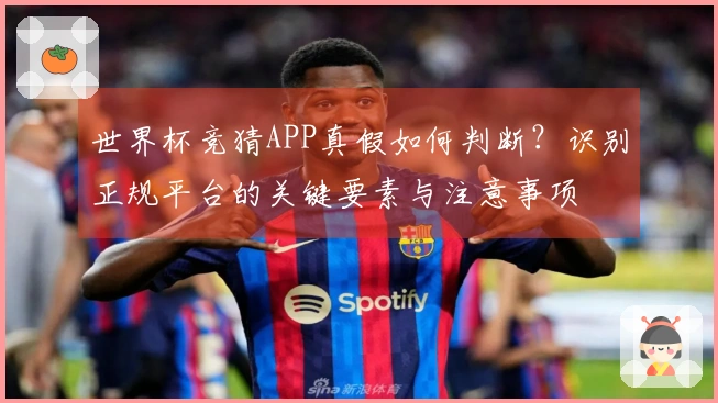 世界杯竞猜APP真假如何判断？识别正规平台的关键要素与注意事项