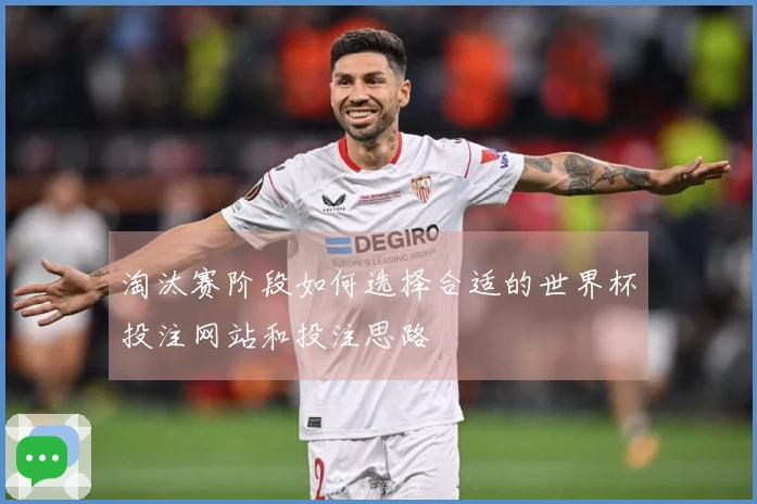 淘汰赛阶段如何选择合适的世界杯投注网站和投注思路