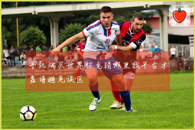 手机端买世界杯竞猜哪里找平台才靠谱避免误区