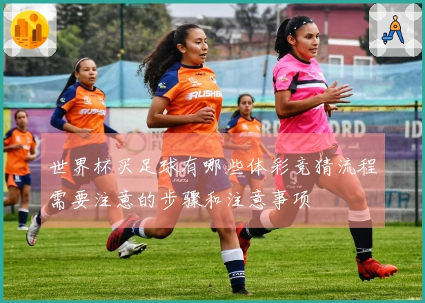 世界杯买足球有哪些体彩竞猜流程需要注意的步骤和注意事项
