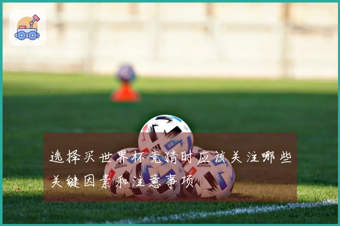 选择买世界杯竞猜时应该关注哪些关键因素和注意事项
