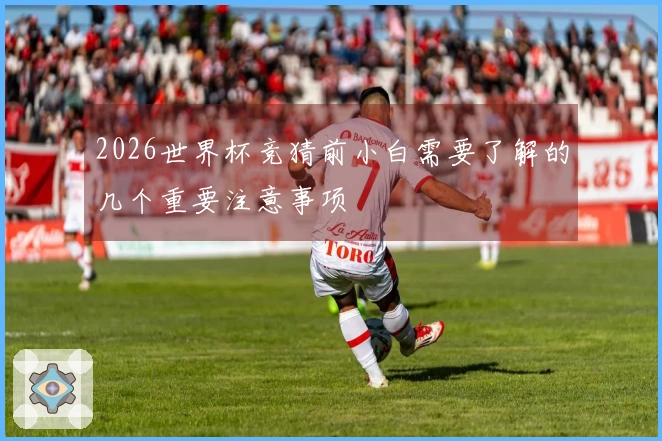 2026世界杯竞猜前小白需要了解的几个重要注意事项