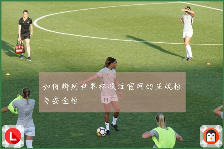 如何辨别世界杯投注官网的正规性与安全性
